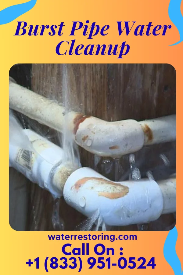 Burst Pipe Water Cleanup in Yorkshire, OH