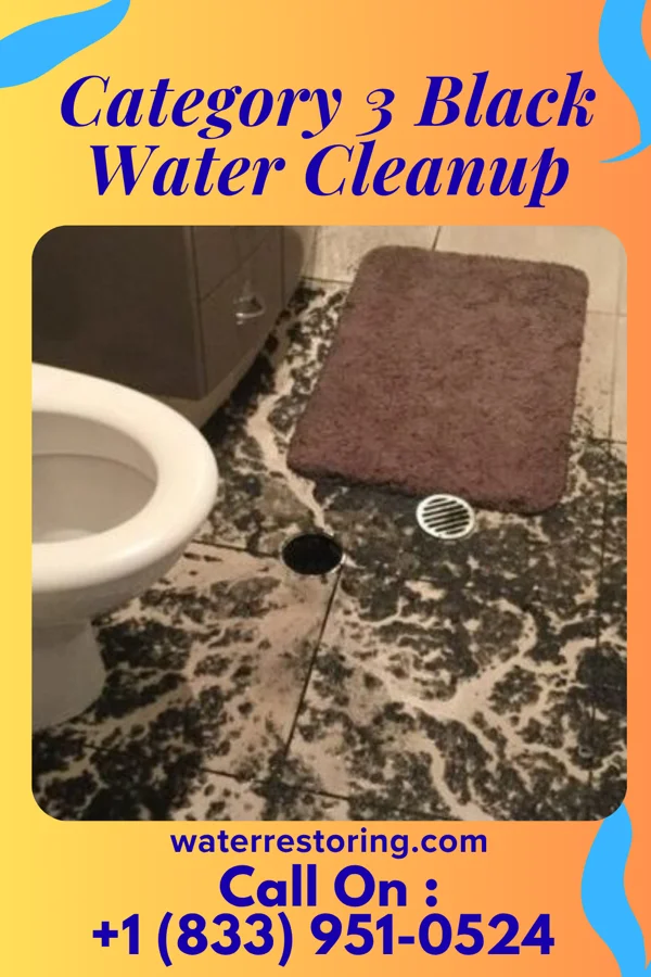 Category 3 Black Water Cleanup in Yorkshire, OH