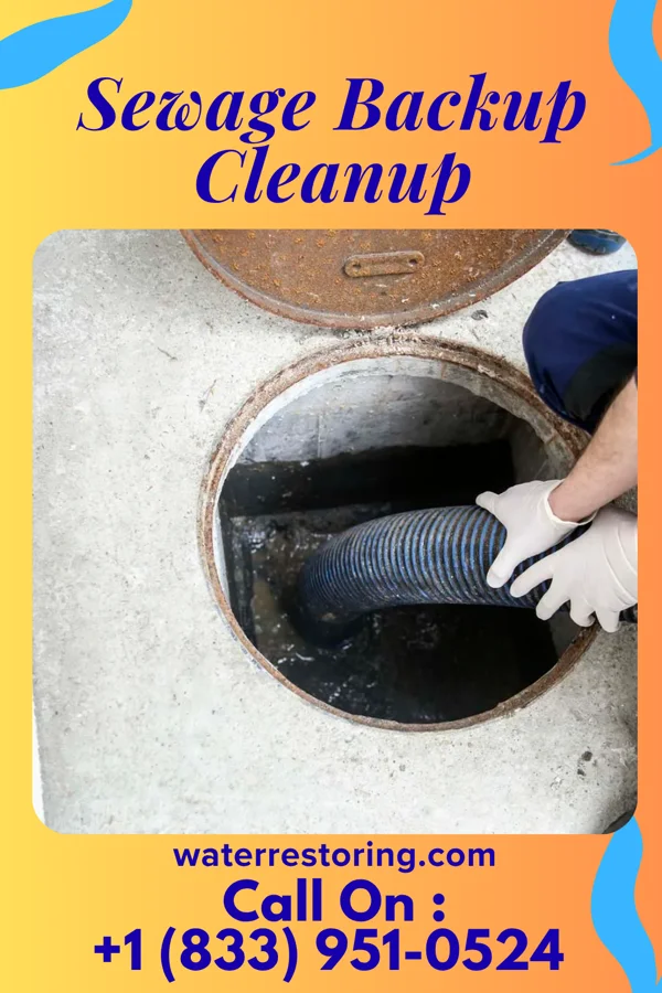 Sewage Backup Cleanup in Yorkshire, OH