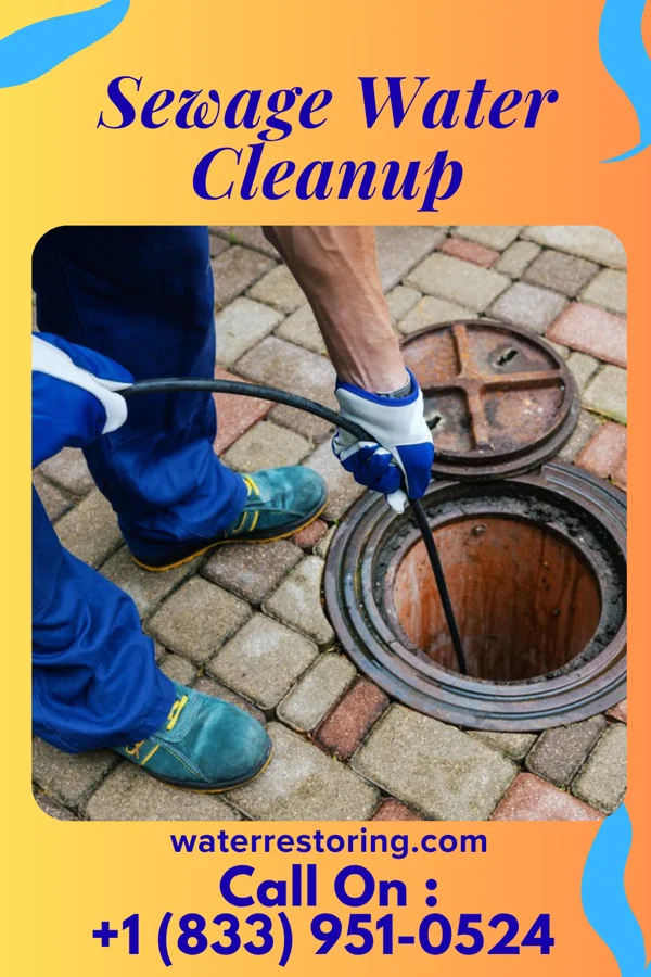 Sewage Water Cleanup in Yorkshire, OH